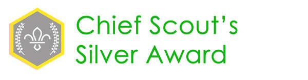 newcubsilverban_edited_1_scaled